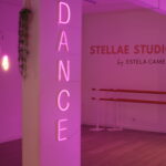 Documento com regulamento interno do Stellae Studio